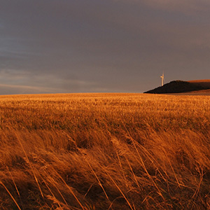 windfarm