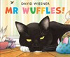 Mr Wuffles!, David Wiesner