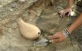 New discovery of 5000 year old grapes suggests Georgia is the cradle of viticulture