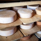 Swiss cheese produced in Georgia 