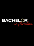 Bachelor in Paradise