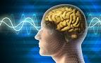 Ученые нашли эффективный способ улучшения памяти