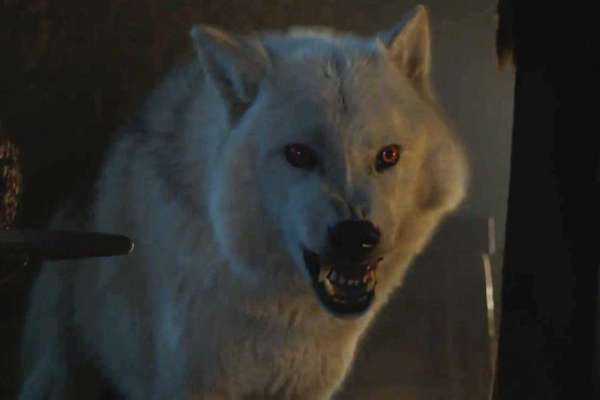 Ghost, Game of Thrones | Photo Credits: HBO