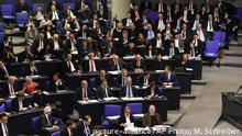 Deutschland | AfD-Fraktion im Bundestag