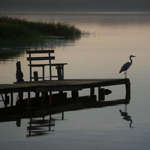 Usedom: "Sensibler Naturraum"
				                    		