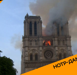 Пожар в Париже: сгорел собор Парижской Богоматери