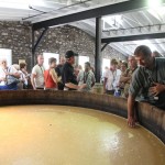 Tour at Woodford Reserve Distillery