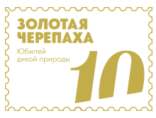 Золотая Черепаха (4.0)