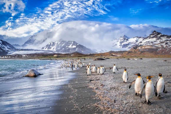 Travel to the ends of the Earth with Hurtigruten.