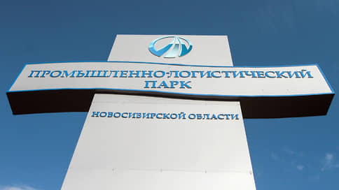 Бизнесмена обвинили по-крупному  / Суд рассмотрит дело о хищении 150 млн рублей при строительстве логопарка