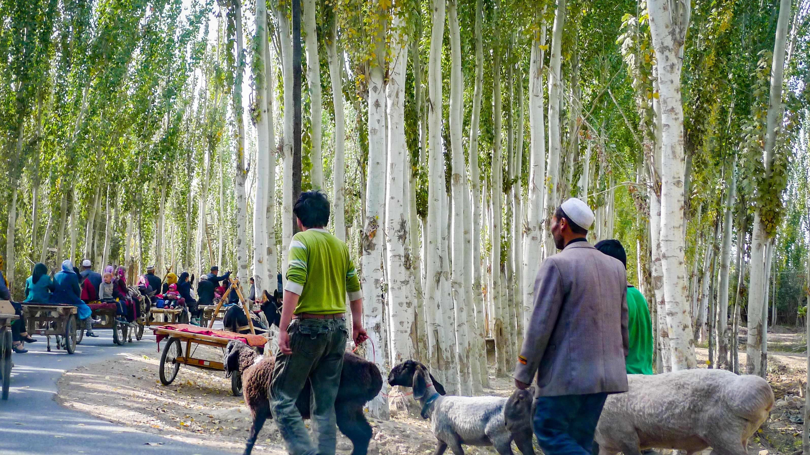 uyghurs walking in KASHGAR, CHINA