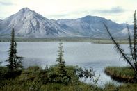 Senate Votes Not To Allow Drilling In Artic Refuge