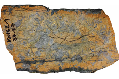 Один из образцов абиссального перидотита, извлеченный при драгировании в районе Западно-Индийского хребта