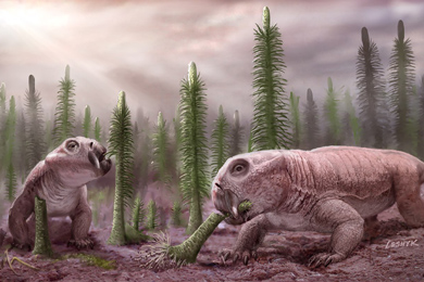 Листрозавры, самые многочисленные сухопутные позвоночные раннего триаса, до недавних пор были известны только по скелетам