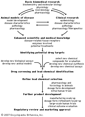 research and discovery processes used for drug development