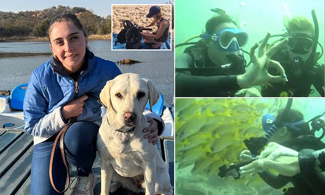 'My buddy hums the Jaws theme tune to signal there's a shark nearby': Meet the scuba diver
