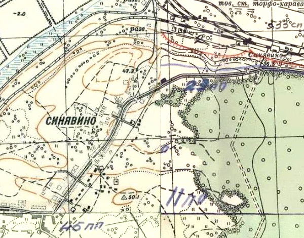 План посёлка Синявино. 1941 год