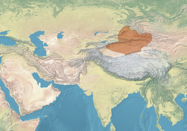 class=notpageimage| Qocho Kingdom and main neighbouring polities c. 1000