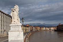 Pisa by Oldypak lp photo