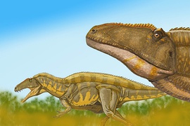 Acrocanthosaurus