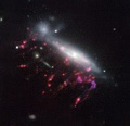 Jellyfish galaxy JO204 taken by ESO's MUSE instrument.[5]