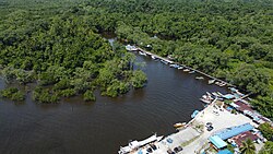 Port of Sanggei within a mangrove area