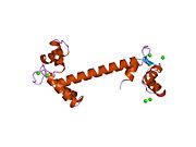 1tn4: FOUR CALCIUM TNC