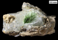 Needle-like millerite crystals partially encased in calcite crystal and oxidized on their surfaces to zaratite; from the Devonian Milwaukee Formation of Wisconsin