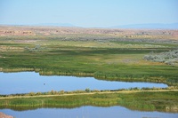 Pariette Wetlands