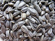 a pile of sunflower seeds