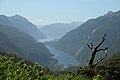 View from Wilmot Pass to Doubtful Sound