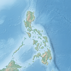Large earthquakes near the Philippine Trench