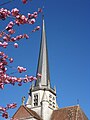 The Bell tower on the Church of Notre-Dame.