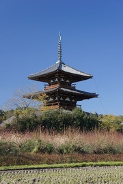 Left image: The three-story pagoda of Hokki-ji temple, built in 706 at the end of the Asuka period Right image:The five-storied Japanese pagoda of Hōryū-ji temple, built in the early 7th century (temple was founded in 607; carbon dating of the pagoda's wooden components proves that they were felled as far back as 594)[5]