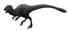 Heterodontosaurus tucki