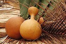 Image of Calabash for palm wine storage