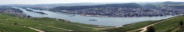 Rüdesheim am Rhein