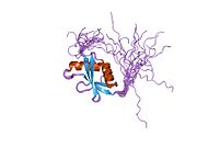 2cu1: Solution structure of the PB1 domain of human protein kinase MEKK2b