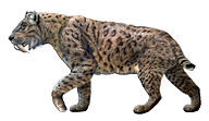 S. populator restored with plain coat by Charles R. Knight in 1903 (left), and S. fatalis restored with spotted coat (right), both of which are considered possibilities