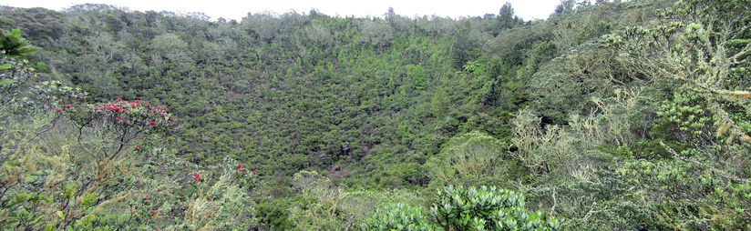  The main vent of Rangitoto Island, now totally forested