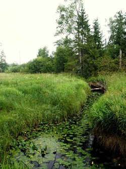 Межа в верхнем течении