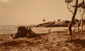 Photograph of Carrum Creek (Patterson River) in the early 1900s.