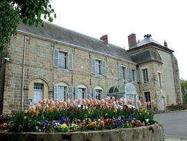 Castle and town hall