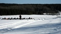 Nordic Rifle Field Shooting in Sweden during the winter in 2012.