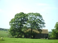 Old Barn at Low Laithe.