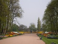 Flower display in the park