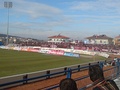 AEL fans in Veria during a game in January 2008