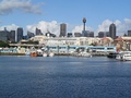 Sydney Fish Market view from Glebe, NSW