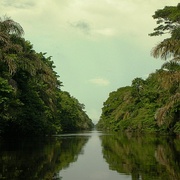 Barra del Colorado, en Tortuguero.