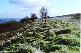The remains of the hill fort